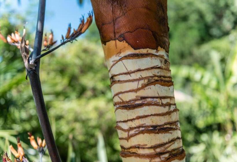 Residence Fischerhof