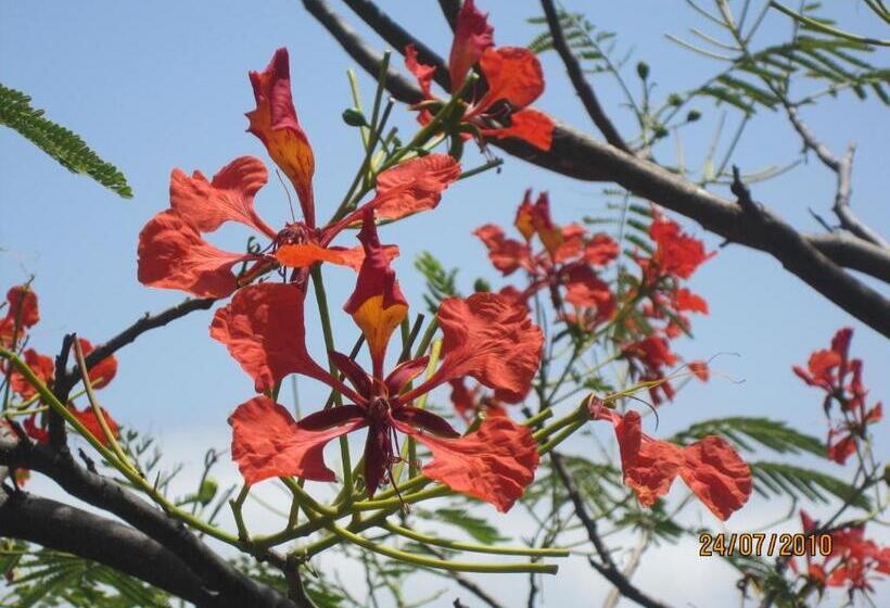 هاستل Casa De France