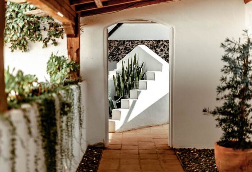 Общежитие Cottage Inn & Spa