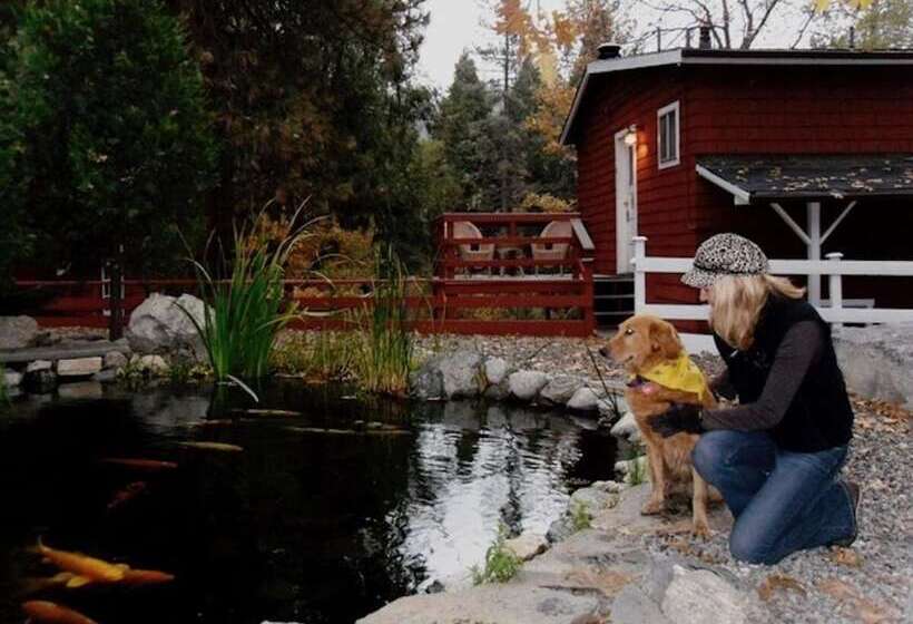 호스텔 Silver Pines Lodge