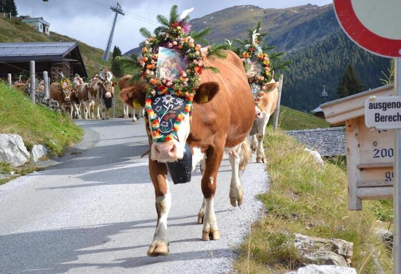 Appartement Hotel Sonneck