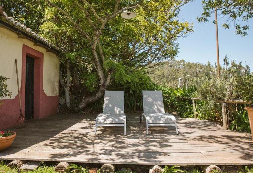 بنسيون Casa Da Muda