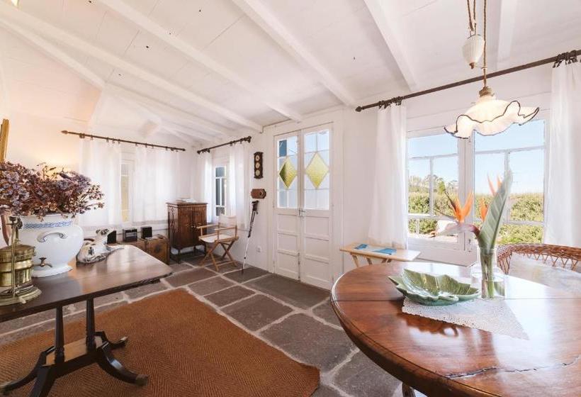 بنسيون Casa Da Muda