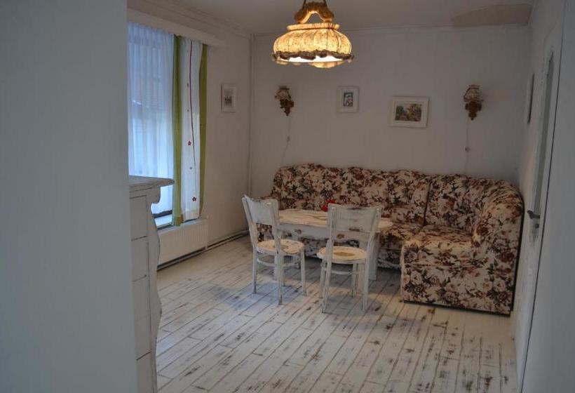 بنسيون Gostynets