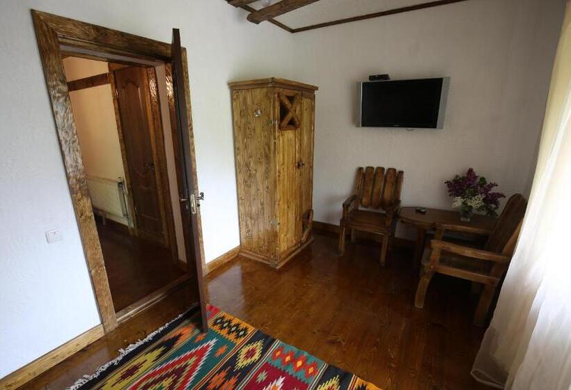 بنسيون Gostynets