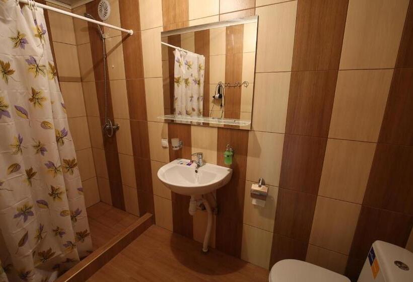 بنسيون Gostynets