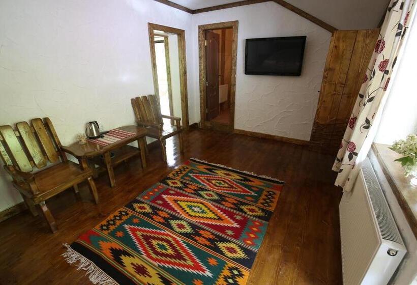 بنسيون Gostynets