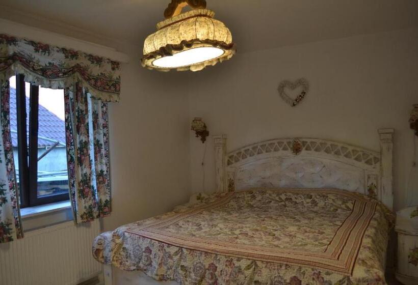 بنسيون Gostynets