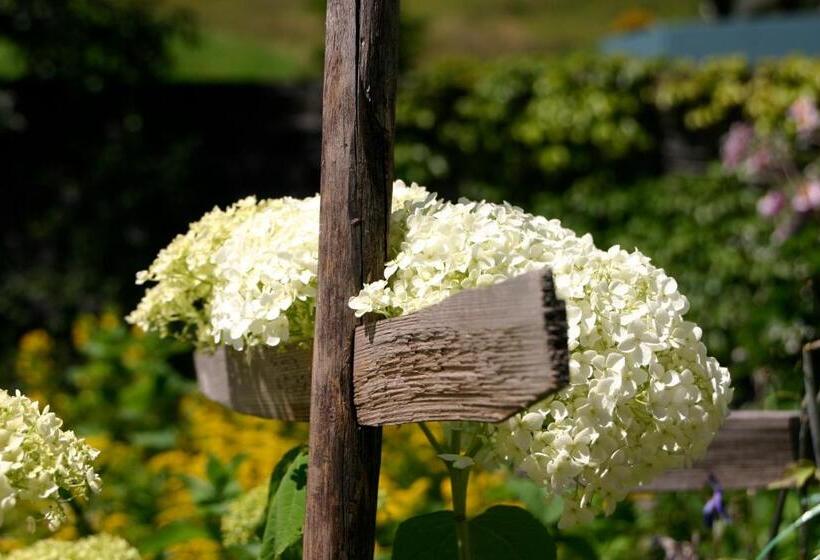 膳宿费 Gästehaus Fritz