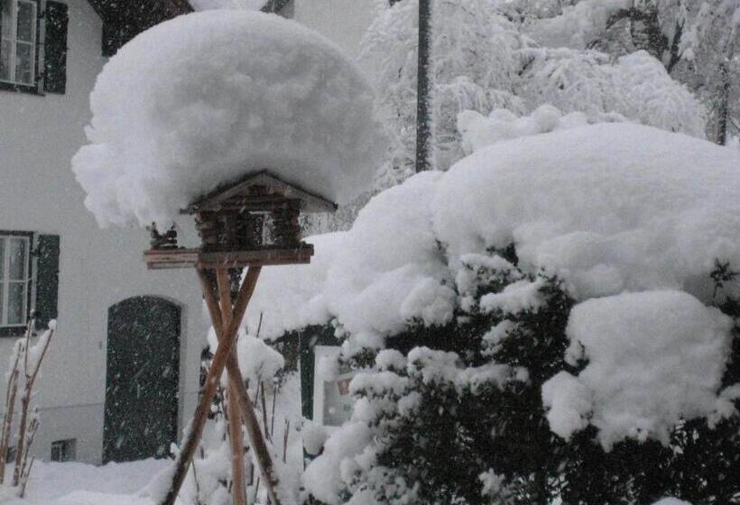 פנסיון Gästehaus Rappenkopf