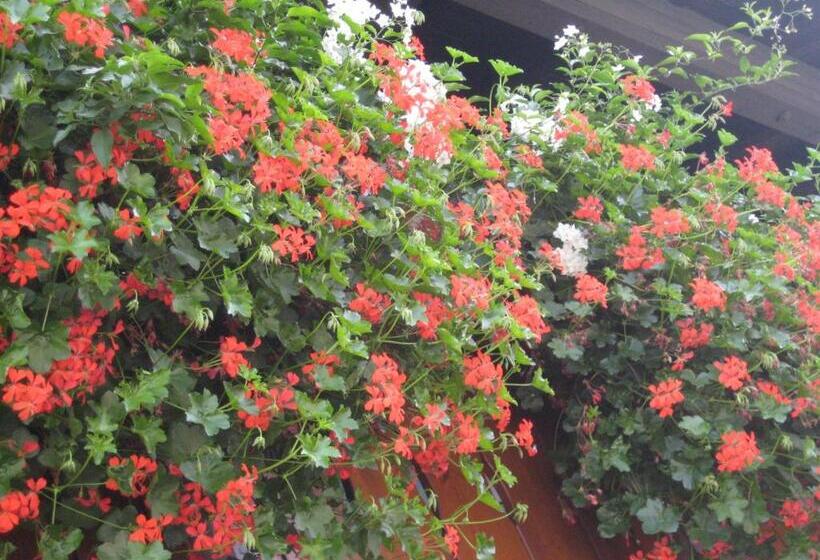 Пансион Gästehaus Rappenkopf