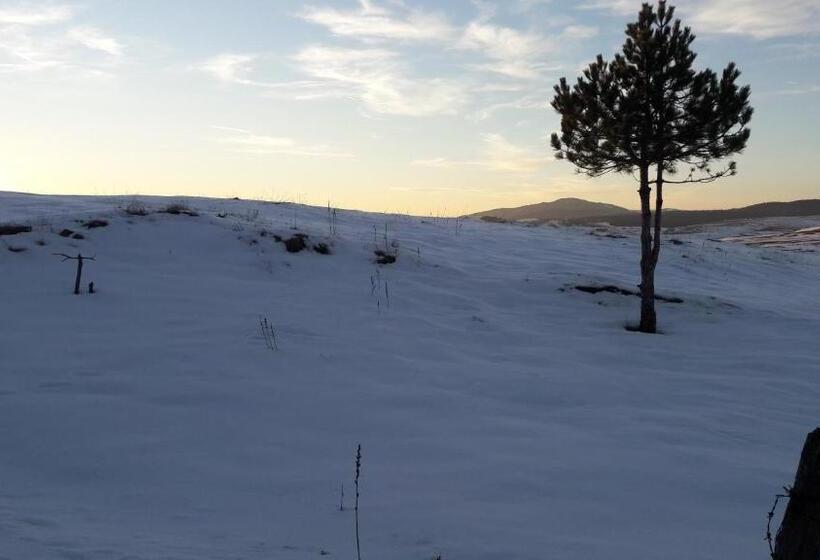 پانسیون Guesthouse Dabić