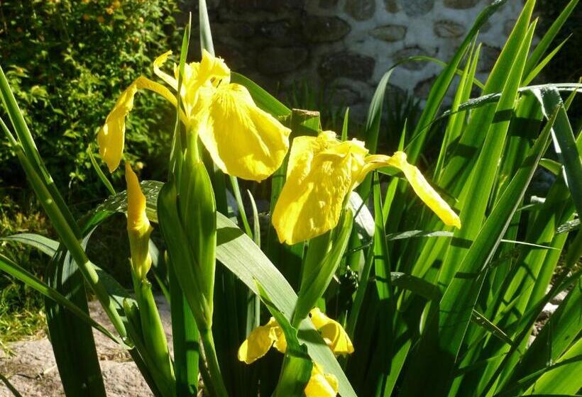 Пансион Maison Mauro