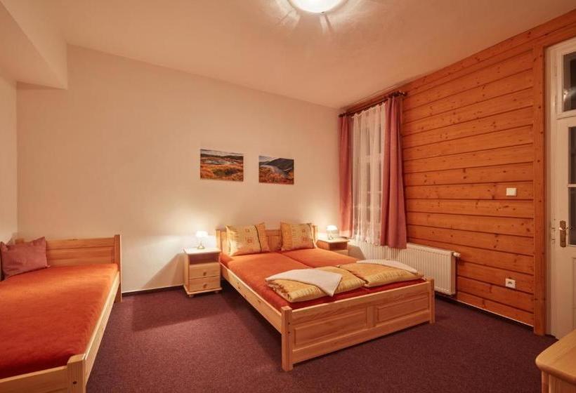 پانسیون Penzion Flora