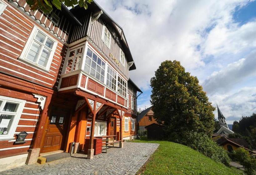 פנסיון Penzion Flora