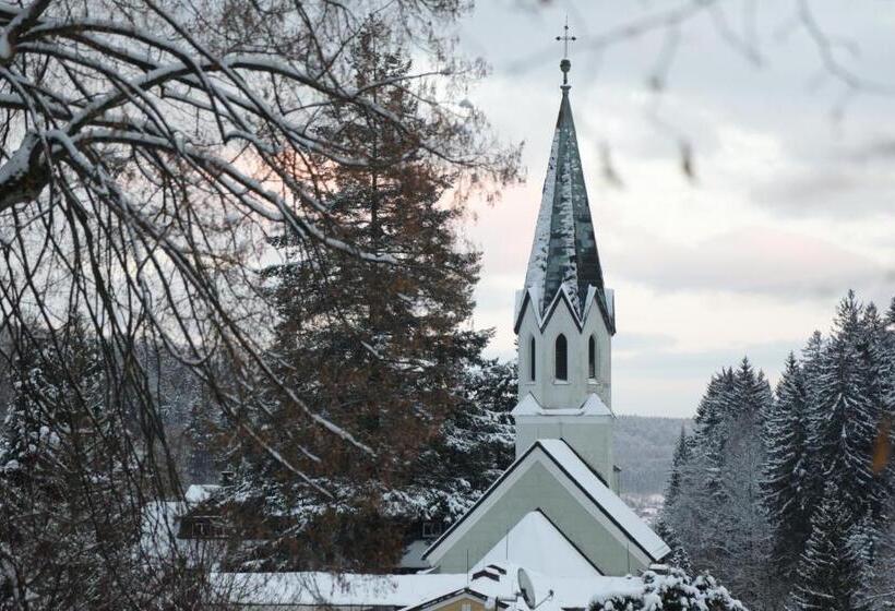 פנסיון Penzion Flora