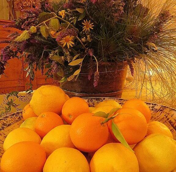 بنسيون The Olive Thrush Cottage