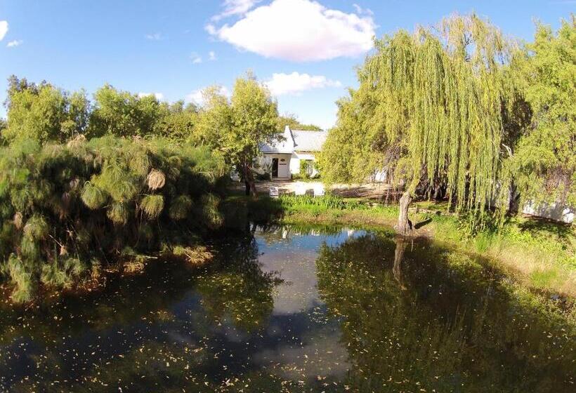 بنسيون The Olive Thrush Cottage