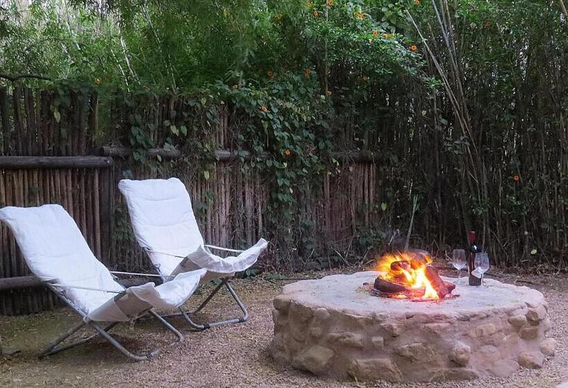 بنسيون The Olive Thrush Cottage