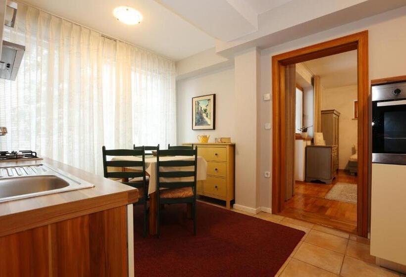 پانسیون Vila Edelweiss Rooms&app Kranjska Gora