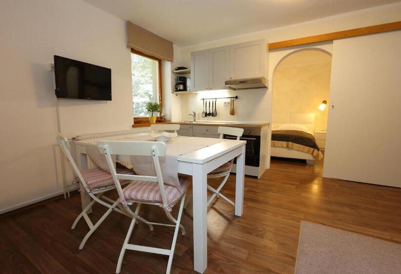 پانسیون Vila Edelweiss Rooms&app Kranjska Gora