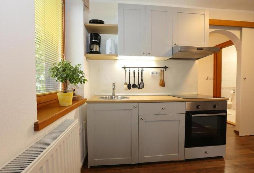 پانسیون Vila Edelweiss Rooms&app Kranjska Gora