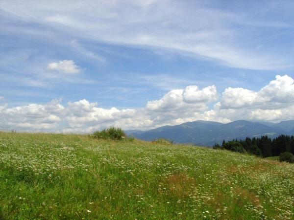 فندق Hochfelner Prutti   Stockerhof