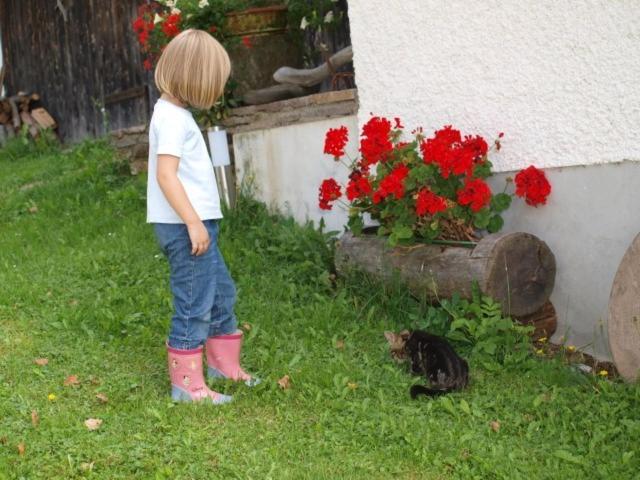 Отель Hochfelner Prutti   Stockerhof