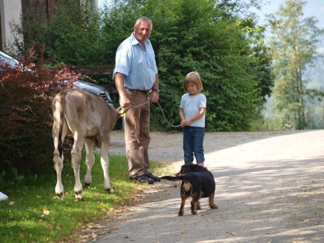 Отель Hochfelner Prutti   Stockerhof