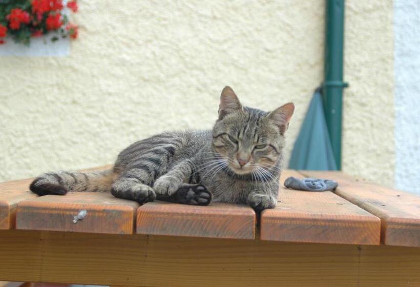 Отель Hochfelner Prutti   Stockerhof