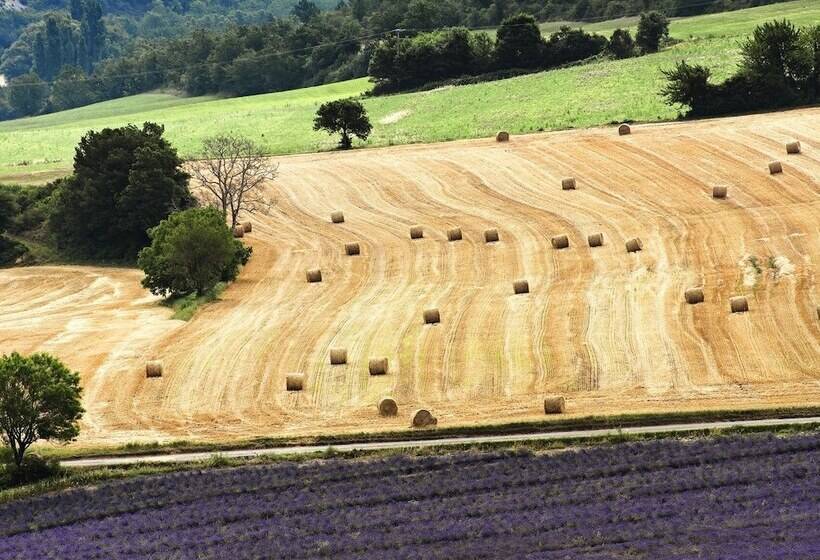 فندق Hôtel Galilee