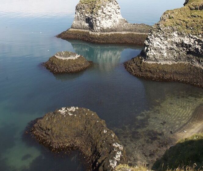 پانسیون Arnarstapi Cottages