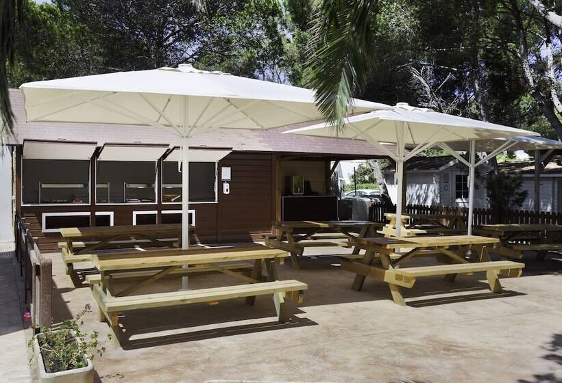 هتل Alua Suites Las Rocas