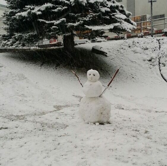 בית מלון כפרי Ambassador Zermatt
