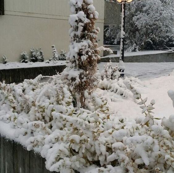 בית מלון כפרי Ambassador Zermatt