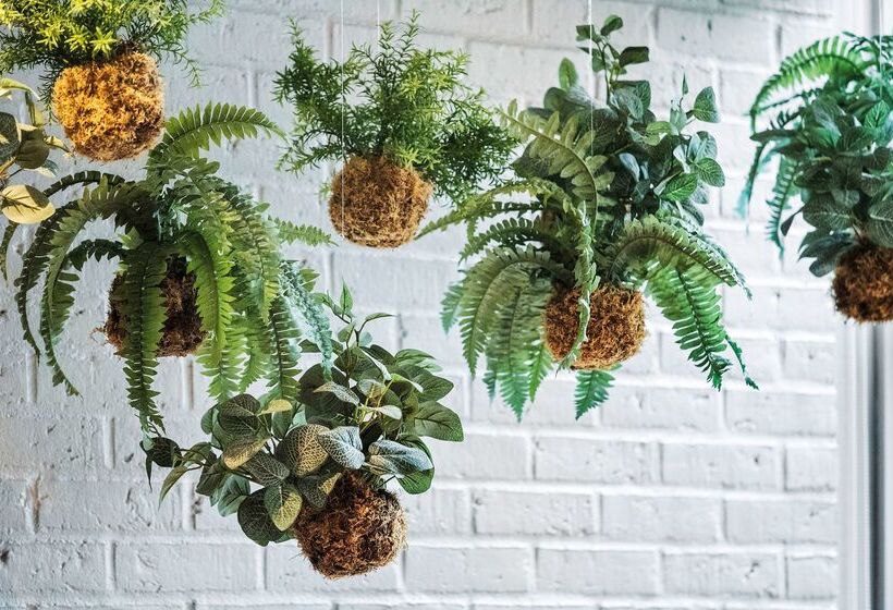 هتل Best Western Plus Airport