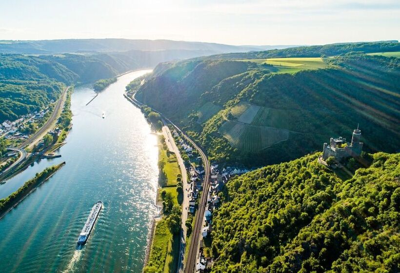 ホテル Breuer S Rudesheimer Schloss