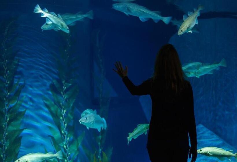 호텔 De Ilhavo Plaza & Spa