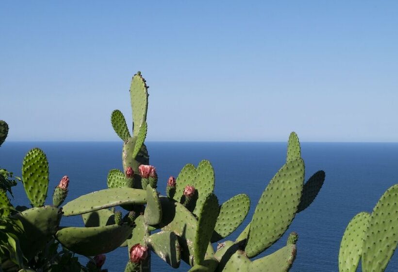 El Far Hotel Restaurant