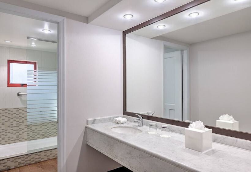 فندق Four Points by Sheraton Santiago