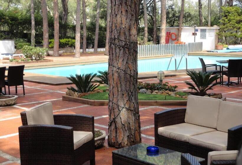 בית מלון כפרי Garbi