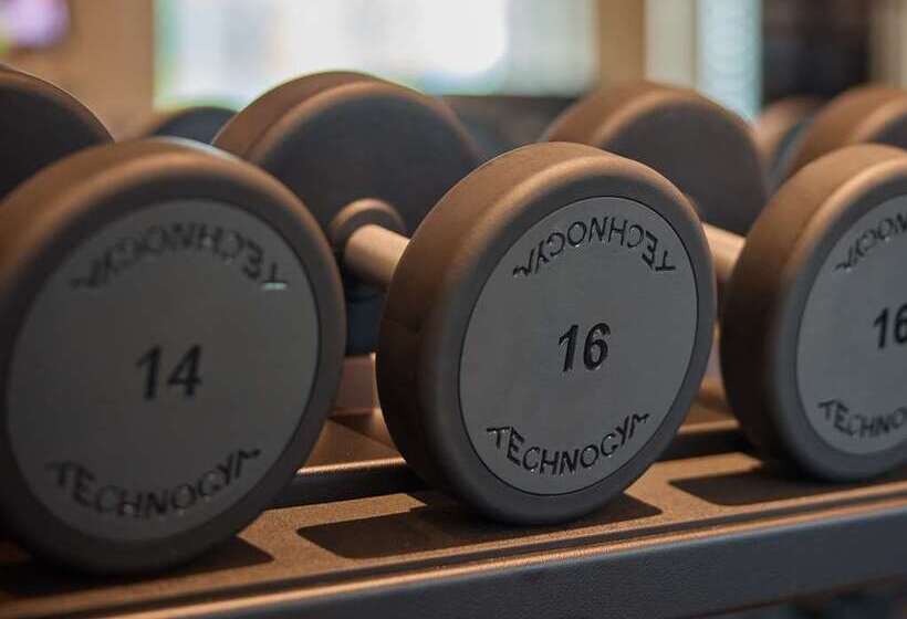 فندق Hilton Sofia