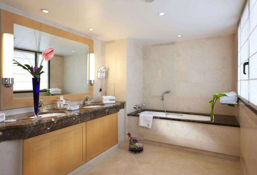 ホテル Hyatt Regency Nice Palais De La Mediterranee