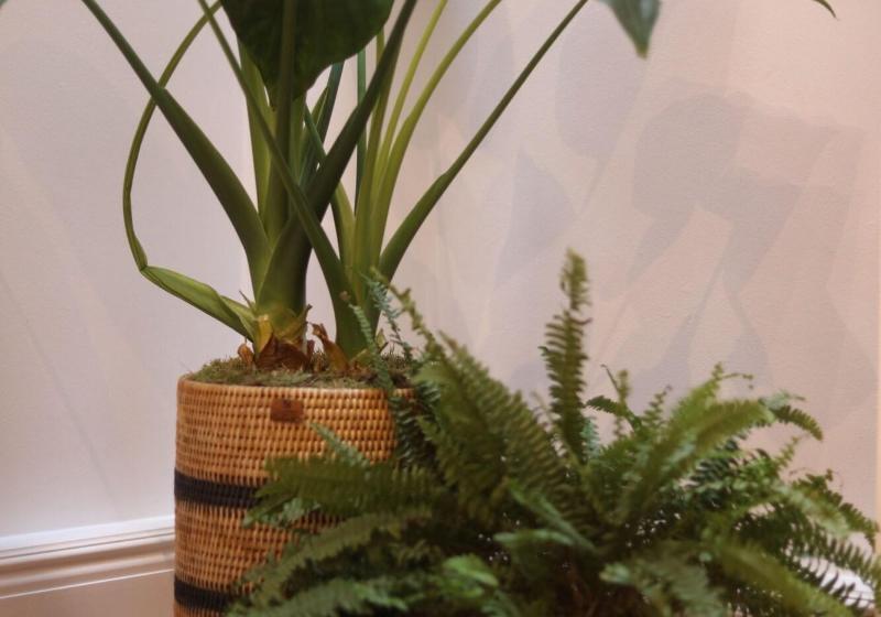 Inhabit Southwick Street, A Member Of Design Hotels