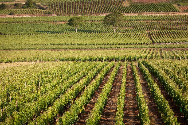 هتل Kyriad Prestige Beaune Le Panorama