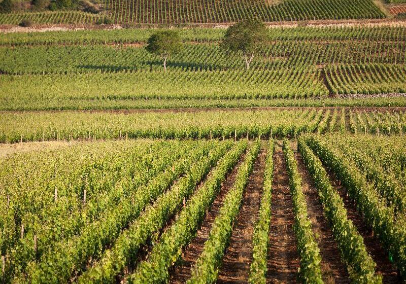 هتل Kyriad Prestige Beaune Le Panorama