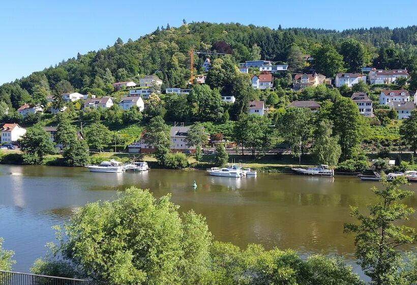 Отель Neckarlux