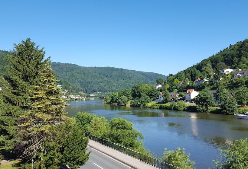 Отель Neckarlux