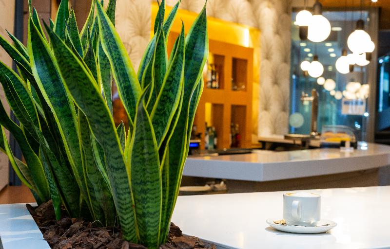 هتل Palacio De Aiete