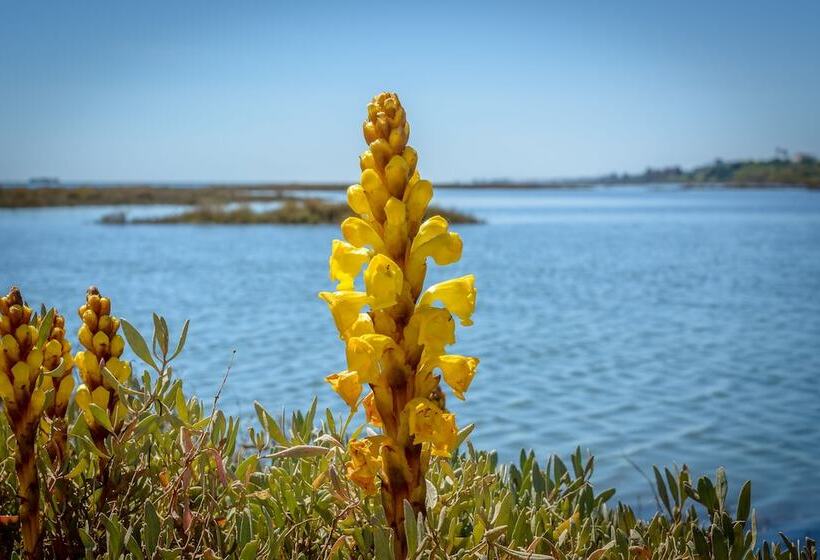 호텔 Pedras Da Rainha